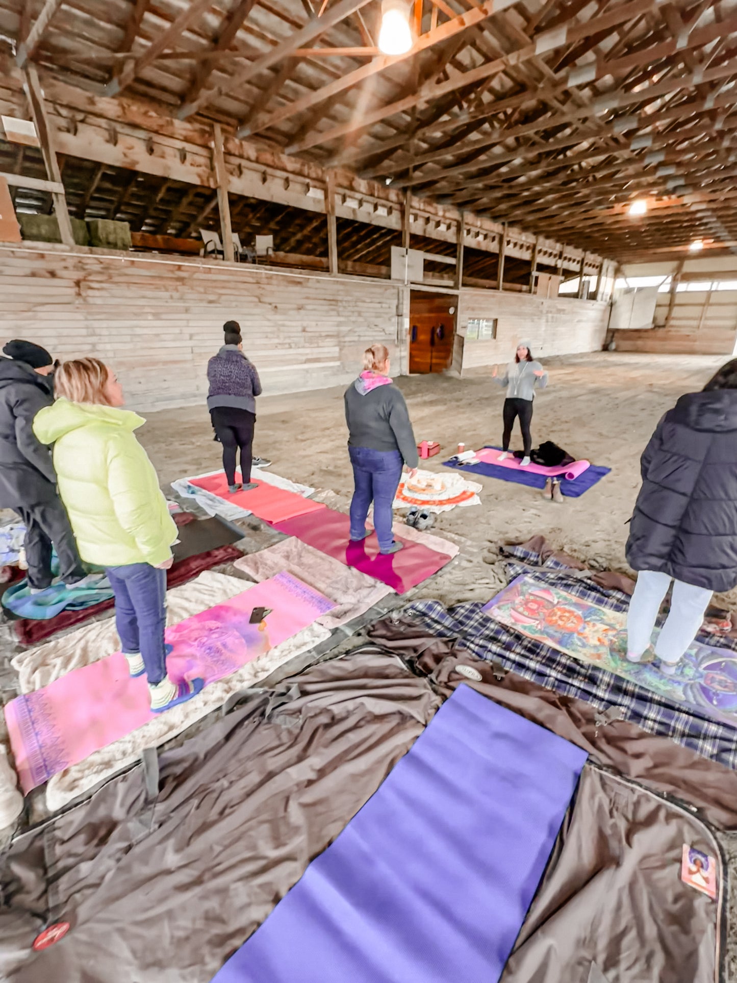 Animal Assisted Wellness Reiki Retreat in Langley BC