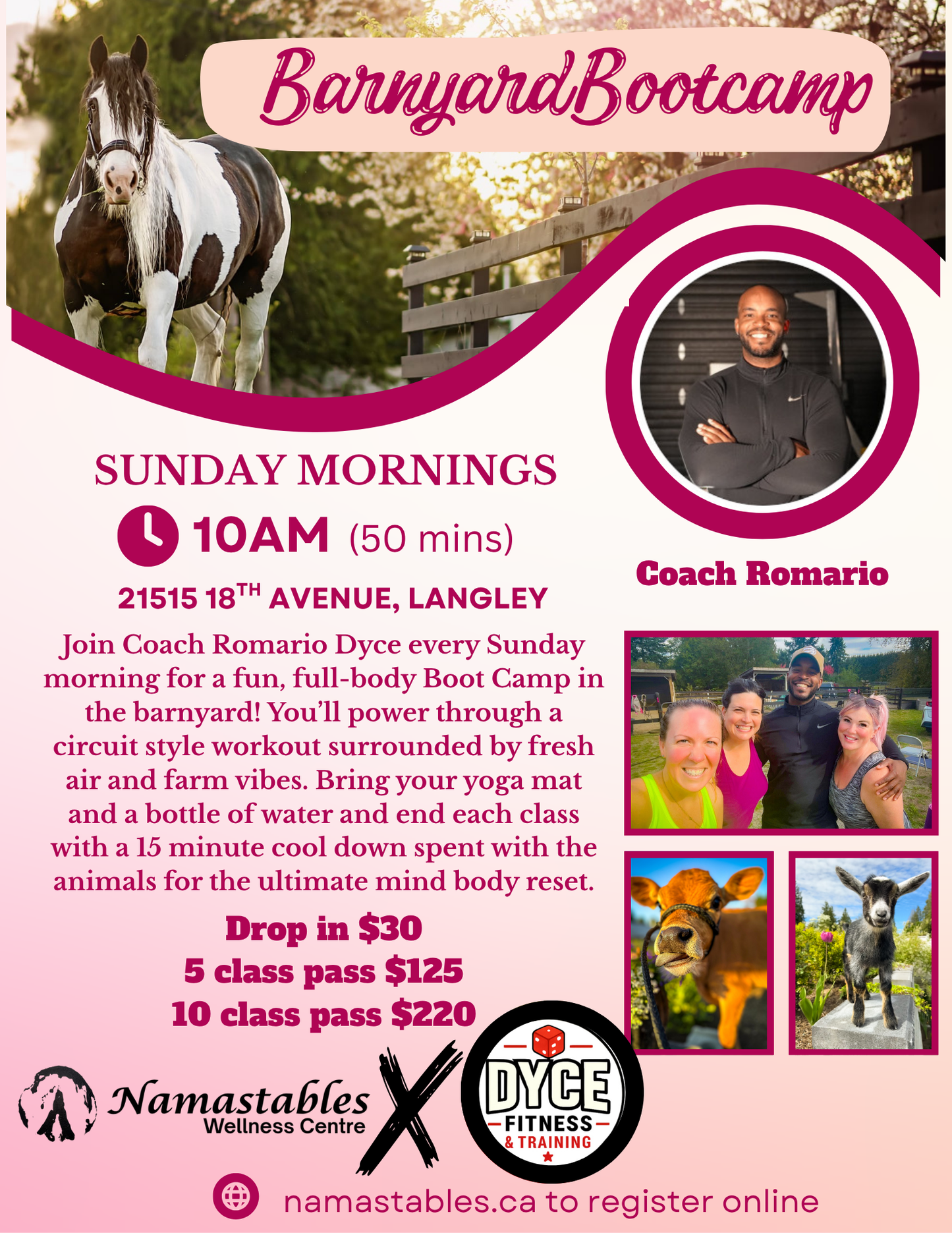 Barnyard Bootcamp Drop In