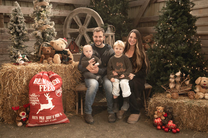 Holiday Mini Session