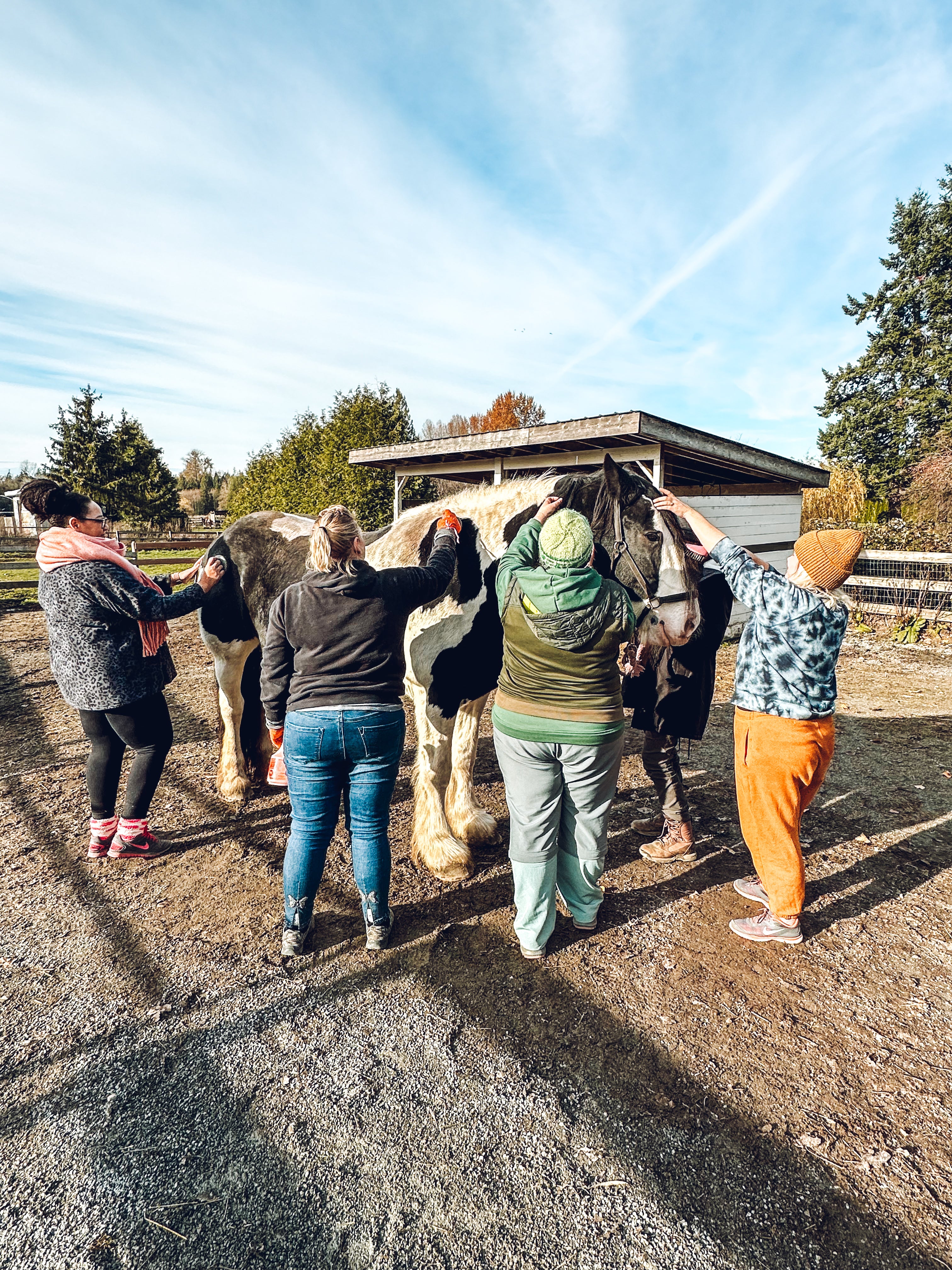 A group of people interacting with animals, likely as part of a wellness workshop.