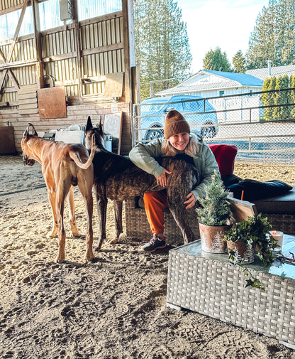 Animal Assisted Wellness Therapy with Great Danes in Langley BC