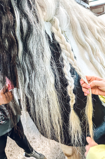 Animal Assisted Wellness Horse Hair Braiding Activity in Langley BC