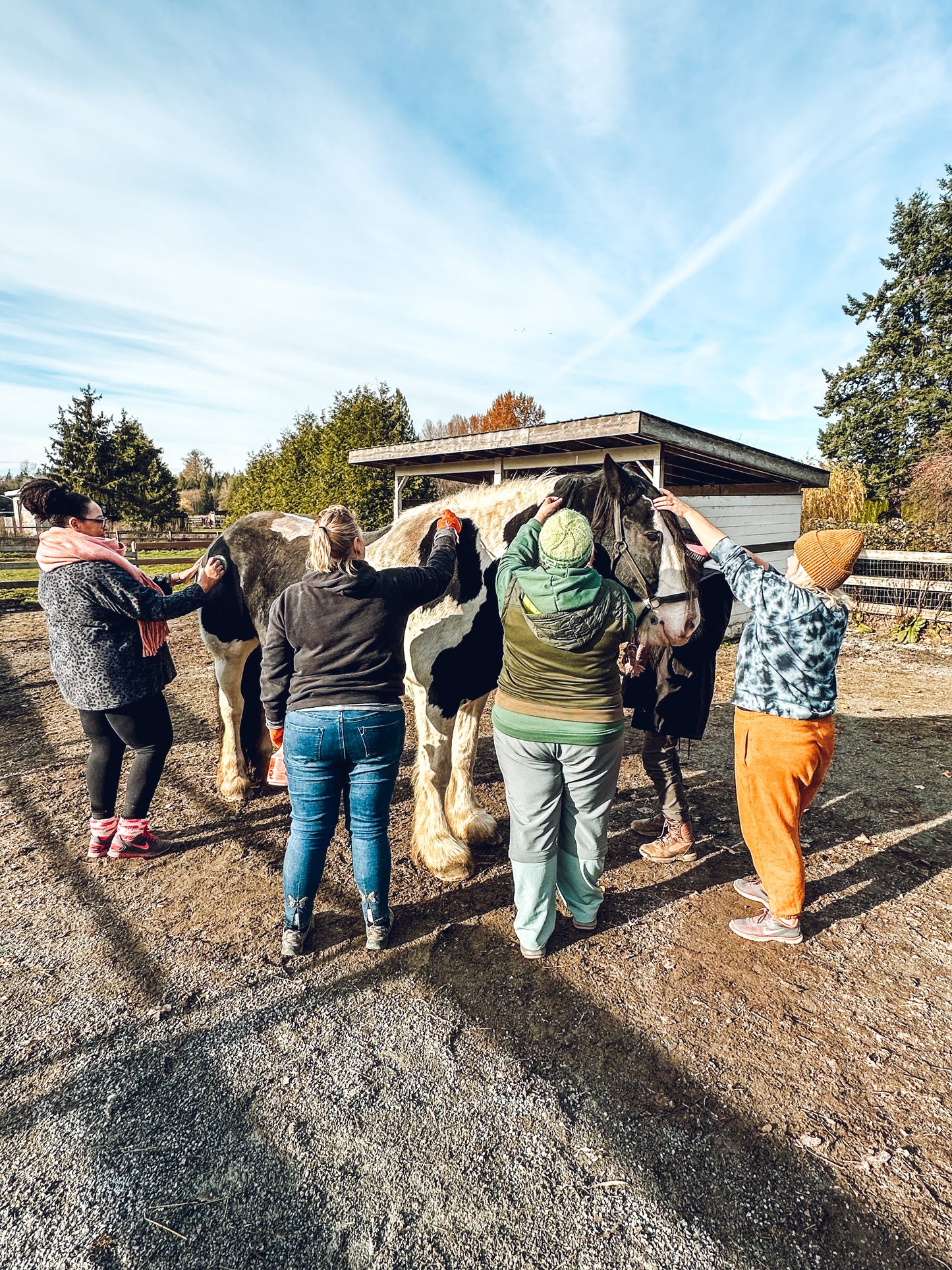 Animal Equine Horse Group Wellness Retreat Langley BC