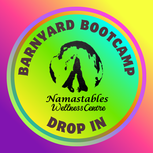 Barnyard Bootcamp Drop In