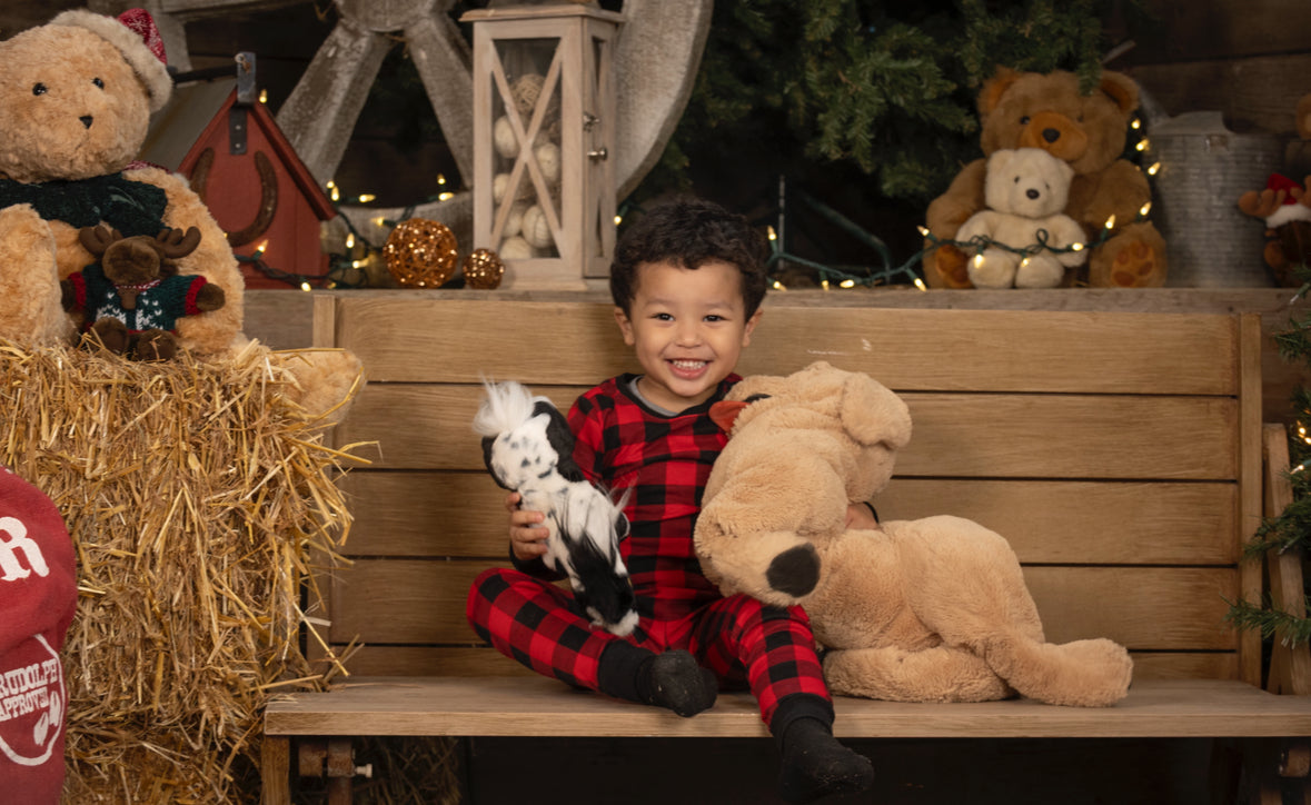 Holiday Mini Session