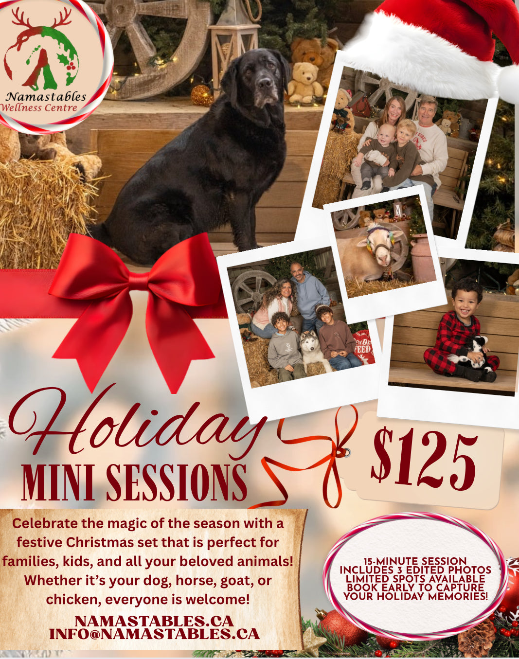 Holiday Mini Session