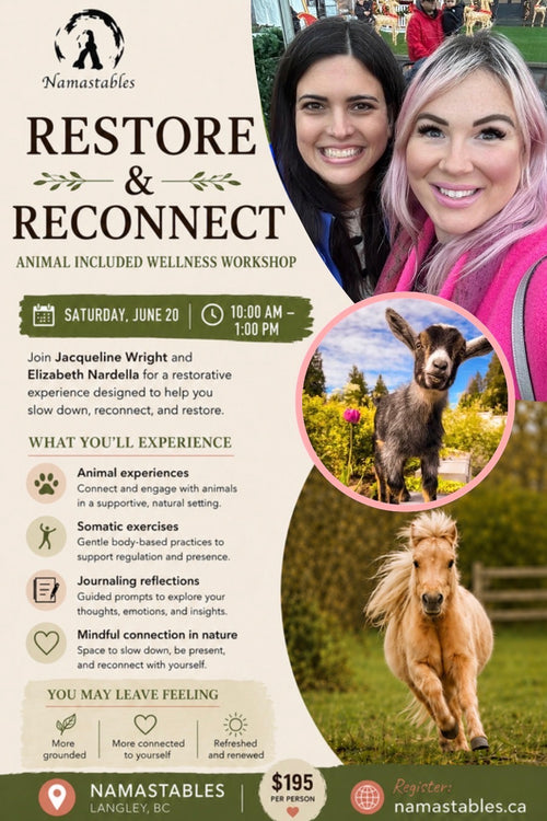 Restore & Reconnect