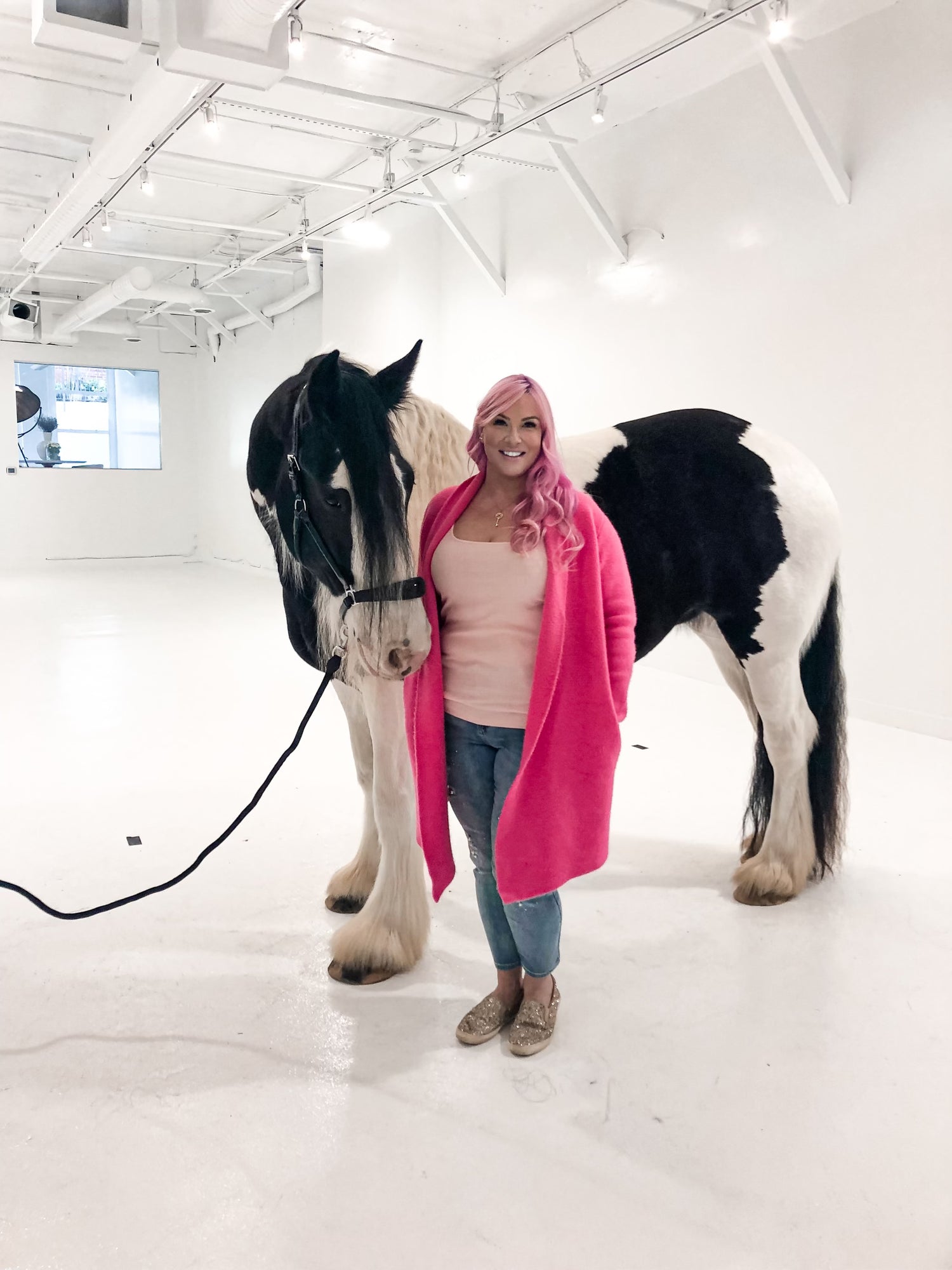 Black and White Horse with woman with pink hair in Vancouver BC Canada