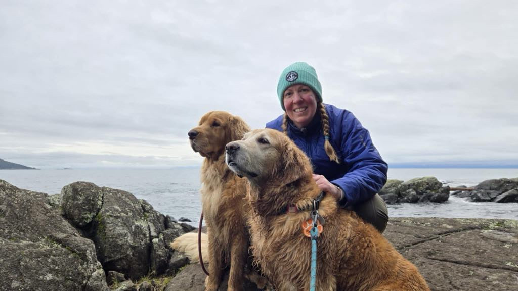 Person with two large dogs on a rocky coastal area