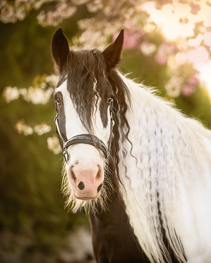 Barn Tour - 45 mins - Per person