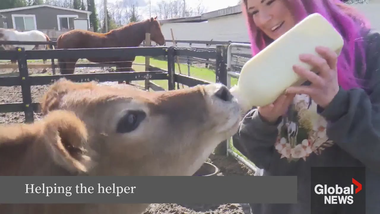 Load video: Namastables featured on Global News